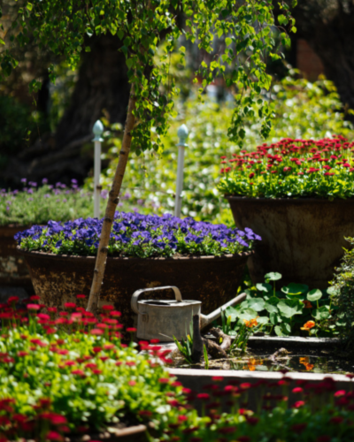 blog-jardinier-perpignan